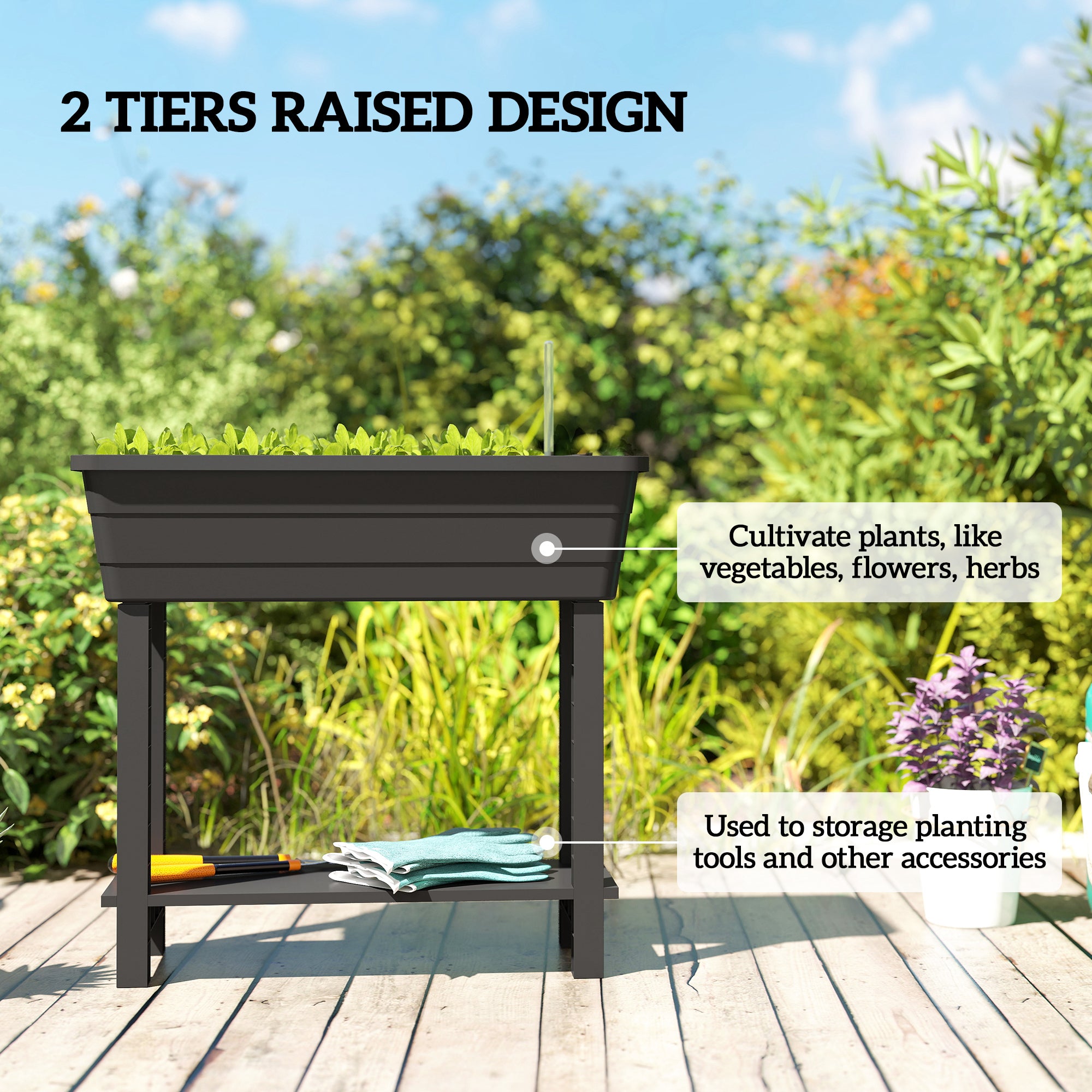 41L Self Watering Raised Garden Bed w/ Ventilation Transparent Lid Greenhouse, Planter Box w/ Storage Shelf, Black
