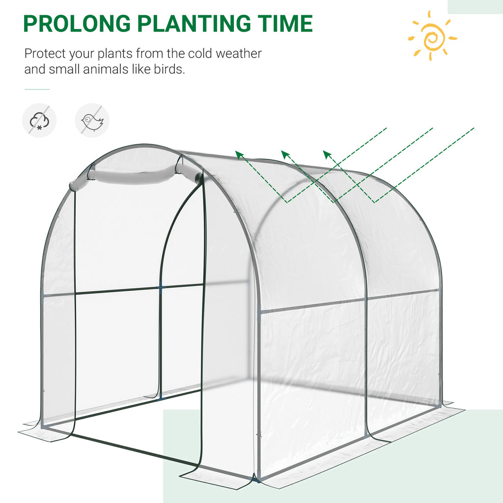 Dome Tunnel Greenhouse Plant Shed with Roll Up Door, 6.6' x 8.2' x 6.6', Transparent
