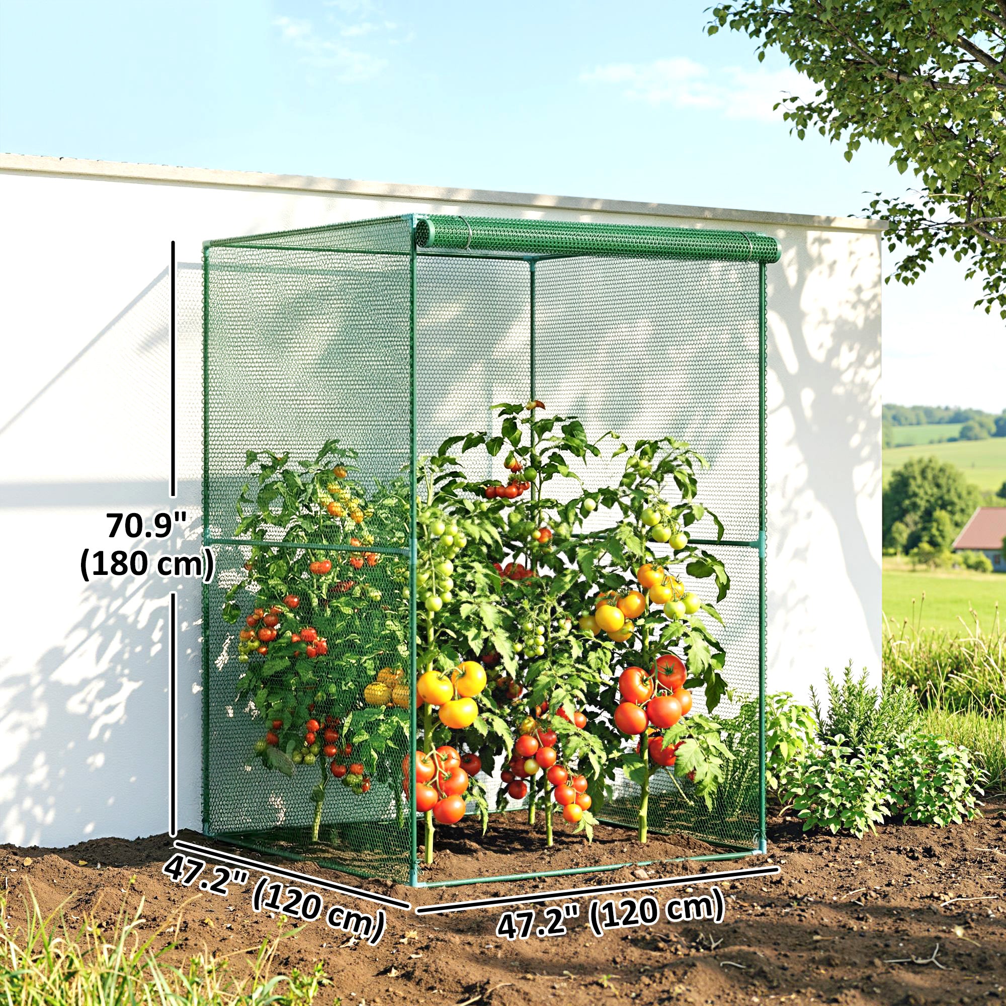 4' x 4' Walk-in Greenhouse, Garden Planting Warm House With Roll-Up Zipper Door for Seedlings Herbs Flowers, Dark Green
