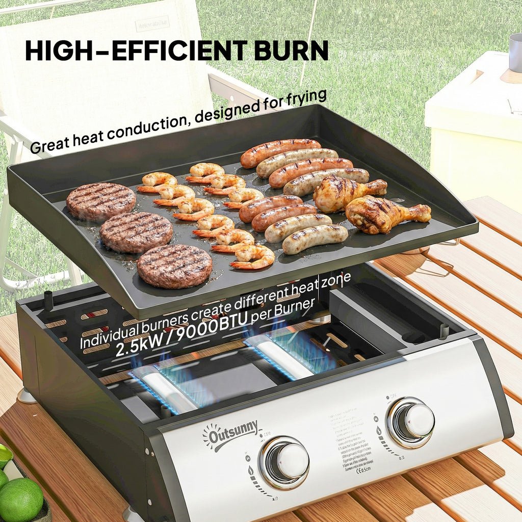 2 Burner Liquefied Gas Grill, Portable Tabletop BBQ Grill, for Camping, Picnic, Silver