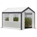 6.6' x 10' x 7' Heavy Duty Walk-In Greenhouse Vegetable Seed Growth Tent Outdoor Plant Growing Tunnel Warm House Flower Shed Backyard White