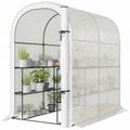 Walk-in Mini Greenhouse with Shelves, Portable Outdoor Greenhouse with Roll-up Door, 123 x 187 x 189 cm, White