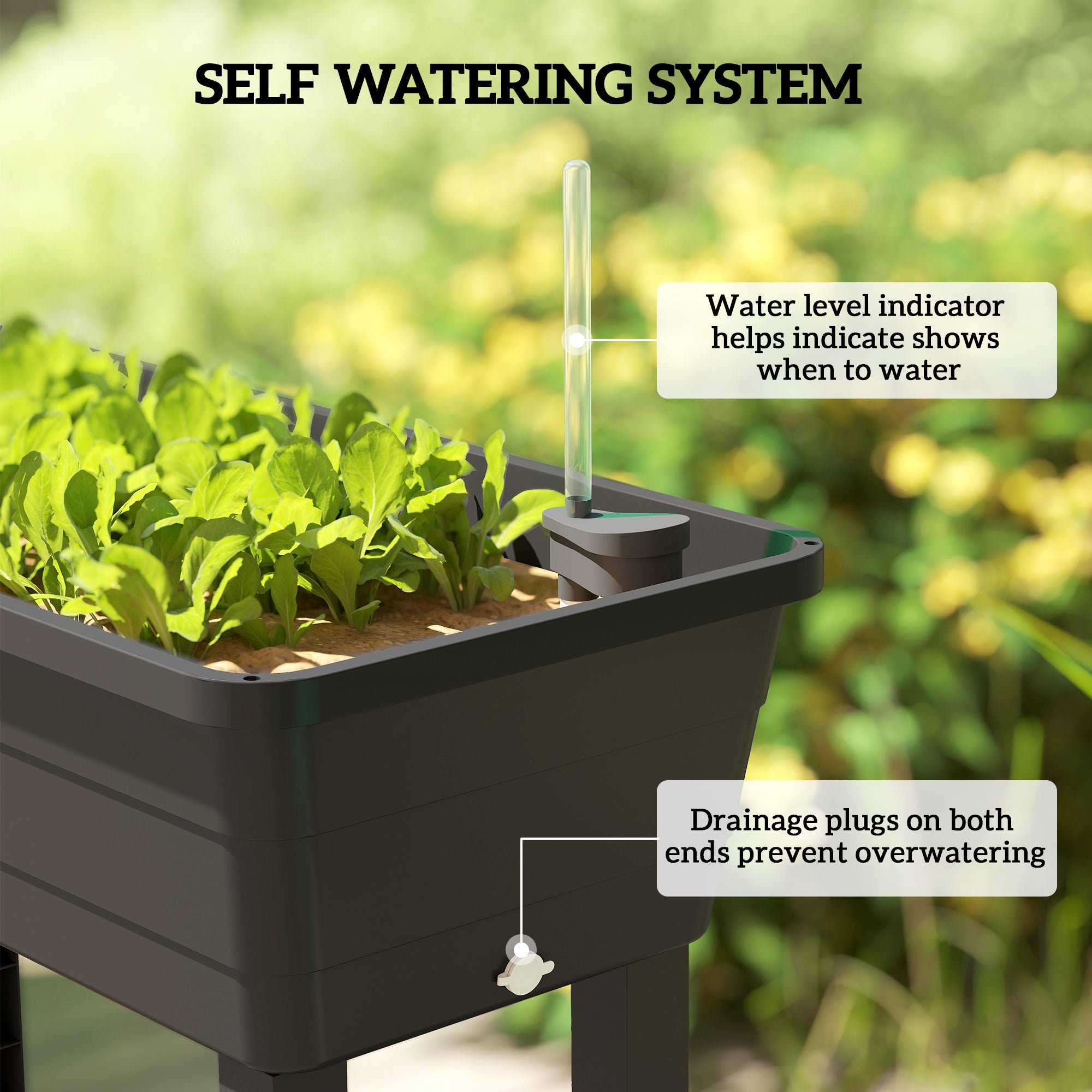 41L Self Watering Raised Garden Bed w/ Ventilation Transparent Lid Greenhouse, Planter Box w/ Storage Shelf, Black