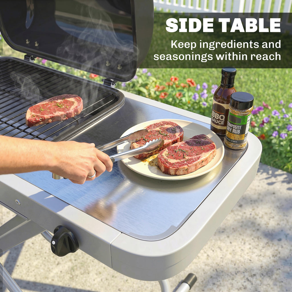 Portable Propane Gas BBQ Grill with Foldable Cart, Wheels, 9500 BTU Gas Barbecue Grill with Piezo Ignition Burner, Black