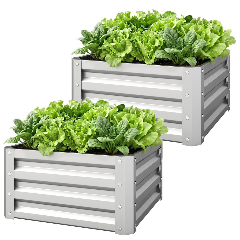 Set of 2 Raised Garden Bed, 2 x 2 x 1ft Steel Planters for Outdoor Plants, Elevated Planter Box, Easy-to-assemble, for Flowers Herbs and Vegetables, Silver