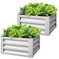 Set of 2 Raised Garden Bed, 2 x 2 x 1ft Steel Planters for Outdoor Plants, Elevated Planter Box, Easy-to-assemble, for Flowers Herbs and Vegetables, Silver
