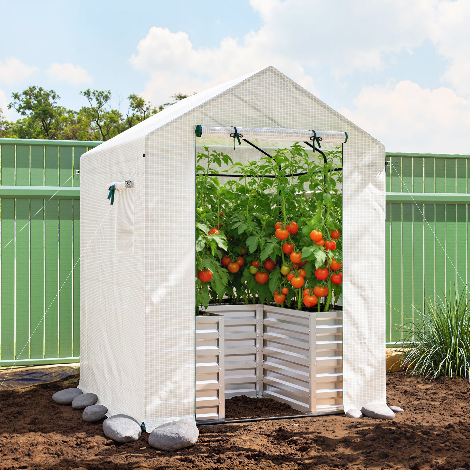 Greenhouse with Raised Garden Bed, Galvanized Metal Planter Box with PE Cover, Roll Up Door, 56" x 56" x 75", White