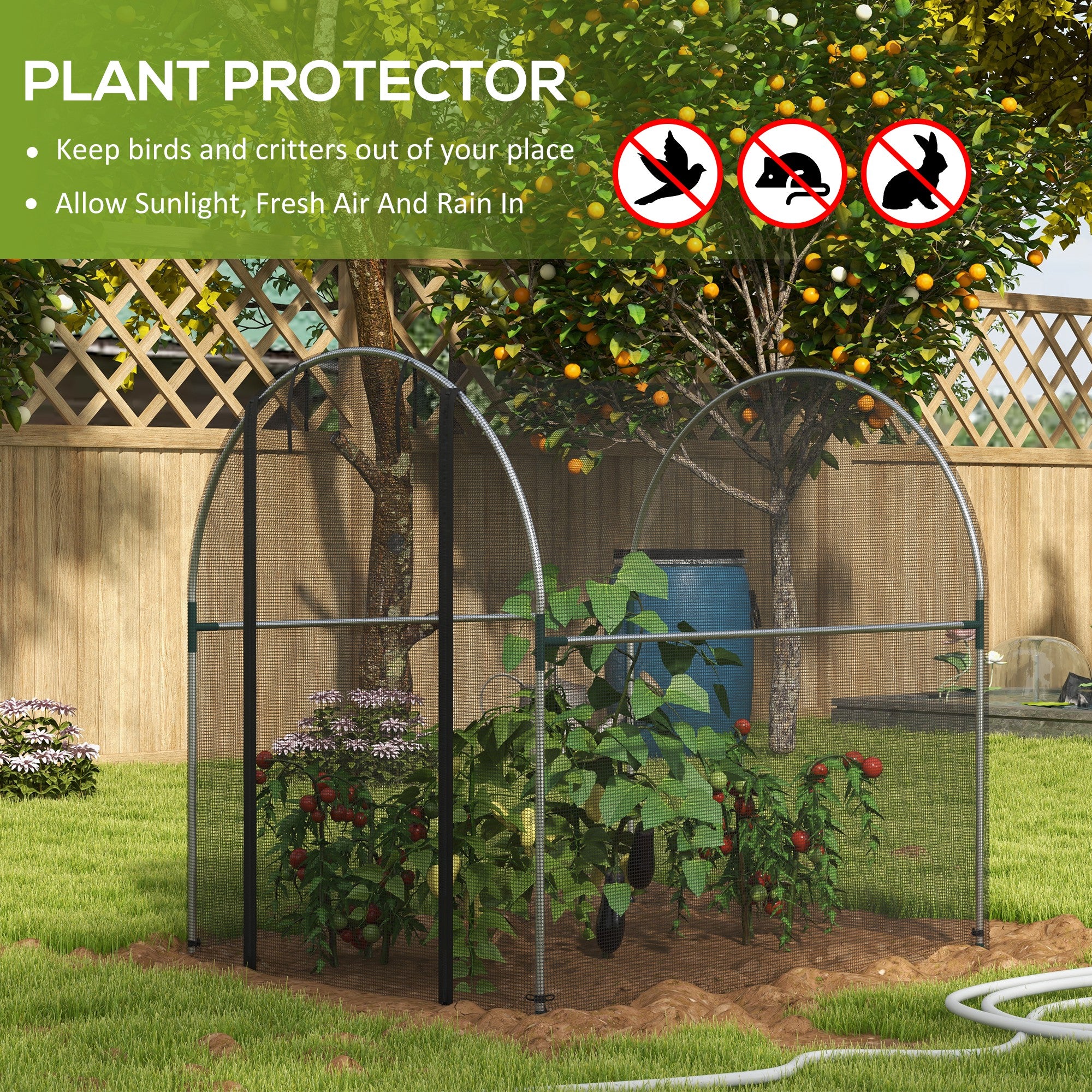 4.9' x 3.9' Crop Cage with Zipper Roll-Up Door, Mesh Plant Protection Tent from Animals with Galvanised Steel Frame