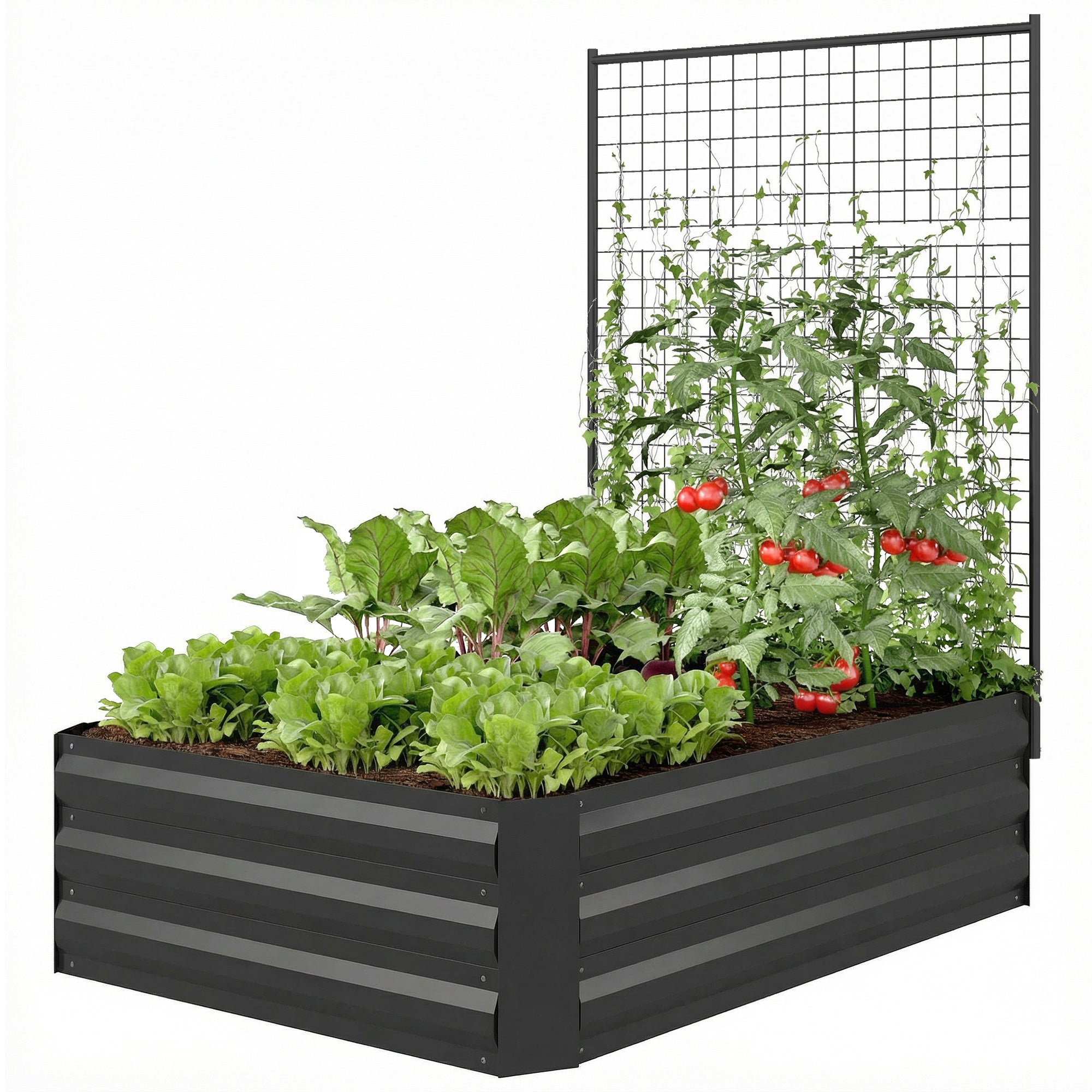 Galvanized Raised Garden Bed with Trellis for Climbing Plants, Outdoor Planter Box with Open Bottom, Black