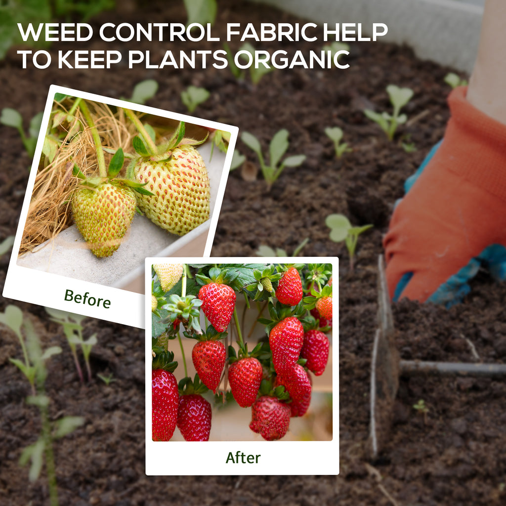 3ft x 164ft Weed Barrier, Landscape Fabric, for Greenhouse Yard Garden Weed Control, Heavy-Duty & Easy Setup, 2oz