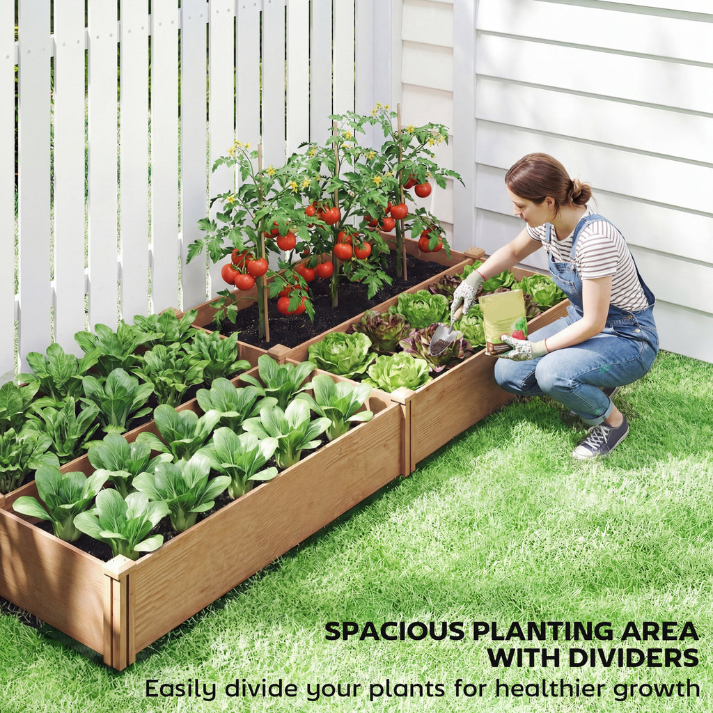 Wooden Raised Garden Bed, 8 x 4 x 1ft Elevated Garden Box with Dividers and Open Bottom, Outdoor Raised Planter Box