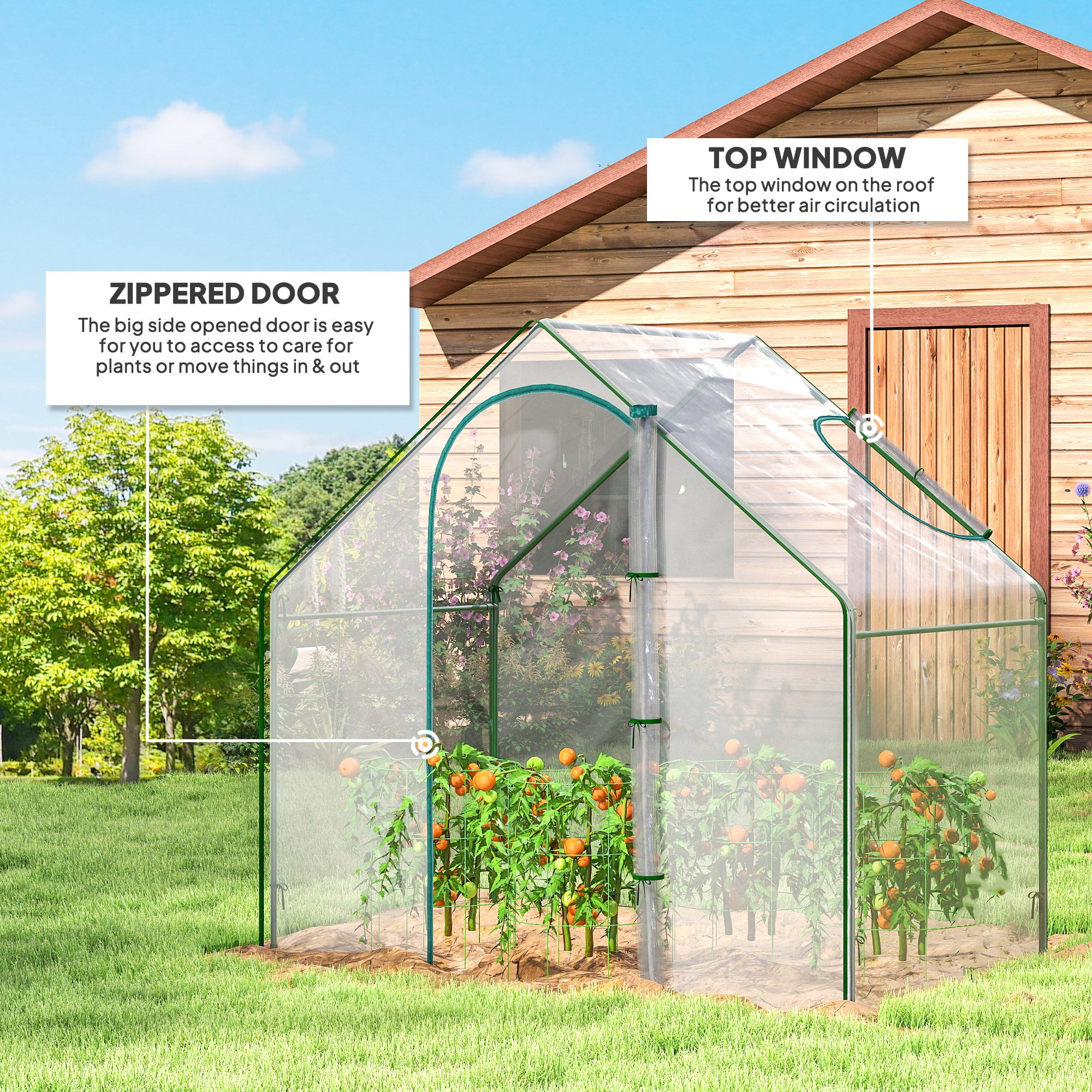 6'x3.3'x5.5' Walk-in Garden Greenhouse with Door and Window, Portable Mini Greenhouse for Plants Flowers Herbs, Steel Outdoor Hot House Growing Tent, Clear Plastic Cover