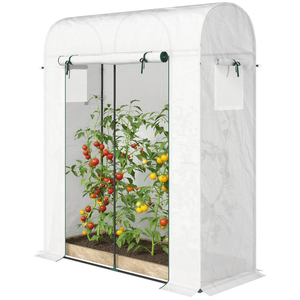 Mini Greenhouse, Portable Garden Green House with Roll-up Door and Mesh Windows, 6' x 2' x 6.6', White