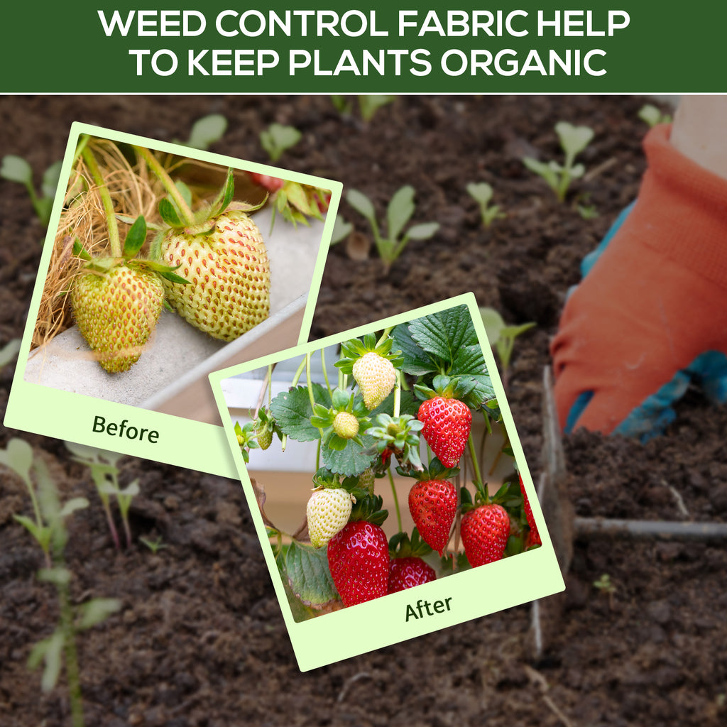 3ft x 300ft Weed Barrier, Landscape Fabric, for Greenhouse Yard Garden Weed Control, Heavy-Duty & Easy Setup, 2oz