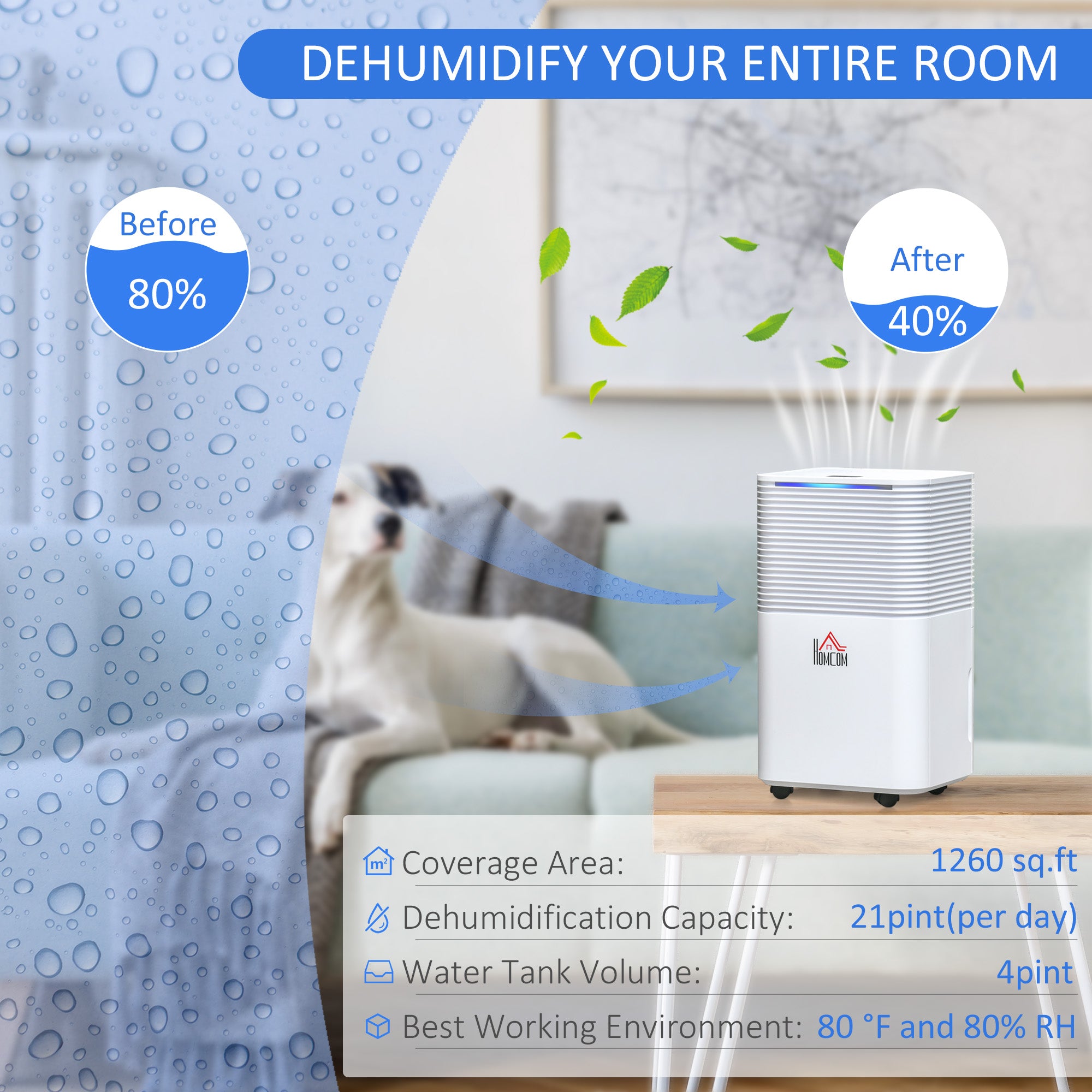 1260 sq.Ft Portable Quiet Dehumidifier for Home Laundry Room Bedroom Basement, 21pt Electric Moisture Air De-Humidifier with 3 Modes