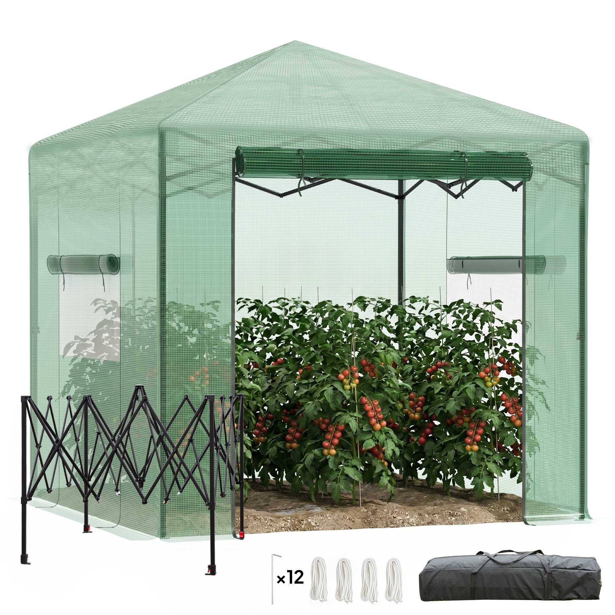 Portable Pop Up Greenhouse, Outdoor Walk-in Hot House with Roll-up Door & 2 Windows, 8' x 6' , Green