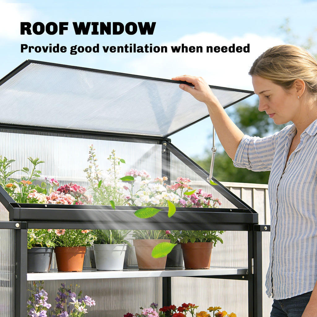 Polycarbonate Greenhouse with 2-Tier Shelves Gardening Green House for Patio Garden, Black