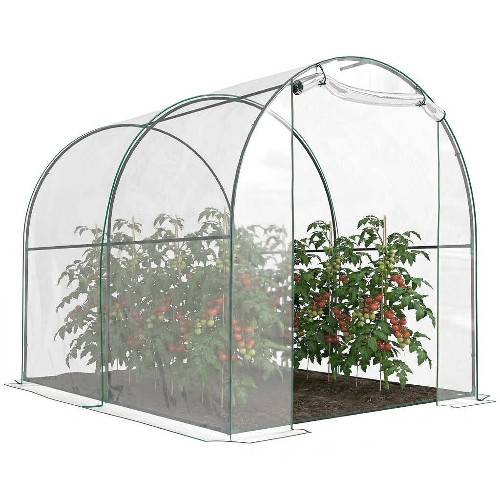 Dome Tunnel Greenhouse Plant Shed with Roll Up Door, 6.6' x 8.2' x 6.6', Transparent
