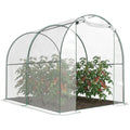 Dome Tunnel Greenhouse Plant Shed with Roll Up Door, 6.6' x 8.2' x 6.6', Transparent
